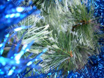 Christmas pine tree needles