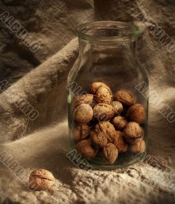 Still-life with nuts