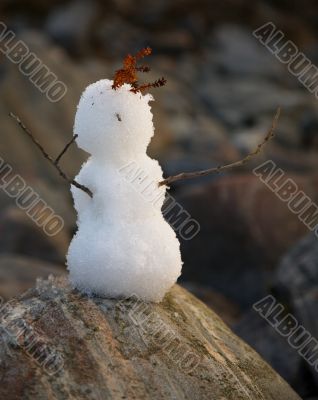 Primitive snowball