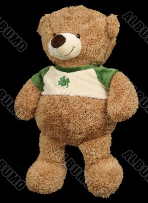 Toy brown soft bear on a black background
