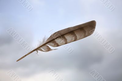 Feather