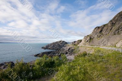 summer norwegian landscape