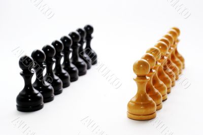 Chess figures bishops