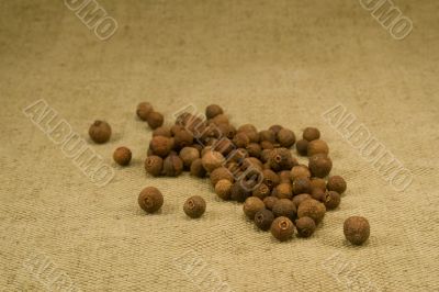 Allspice