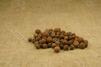 Allspice