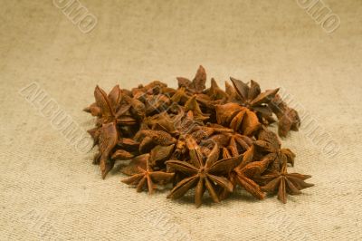 Star anise