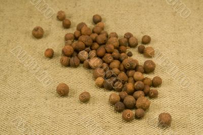 Allspice