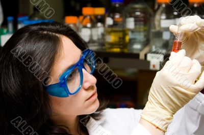 Scientist looking at test tube