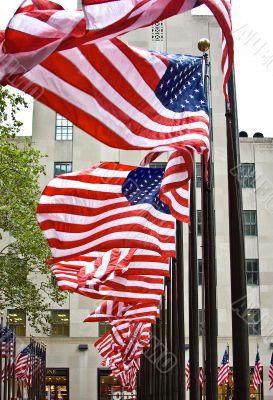 Row of American flags