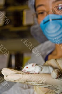Scientist with white mouse