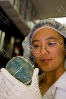 Female scientist picking colonies