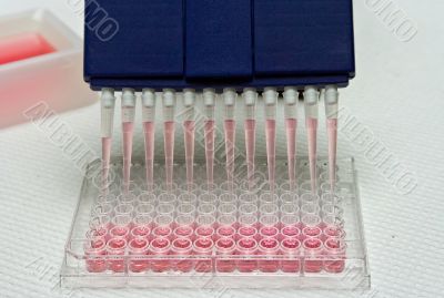 Pipetting experiment