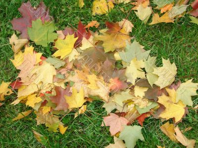 Autumn landscape.