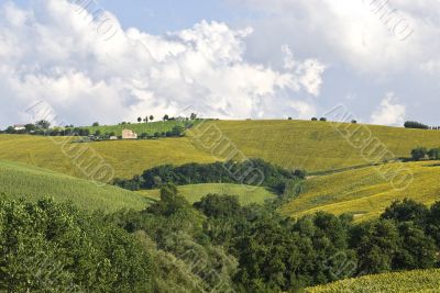 Landscape near Fermo Landscape near Fermo