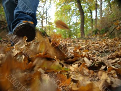 man walk in park