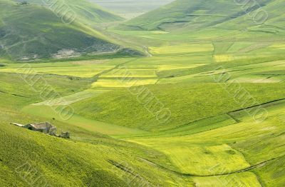Piana di Castelluccio - Landscape Piana di Castelluccio - Landscape