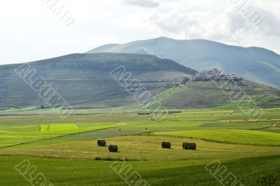 Castelluccio di Norcia (Italy) Castelluccio di Norcia (Italy)