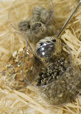 tea-strainer and tree kinds of tea