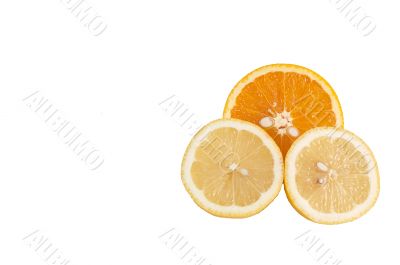 Lobule of orange and lemon. Lobule of orange and lemon.