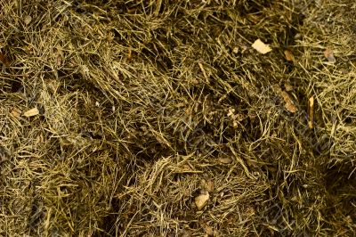 Hay stack closeup