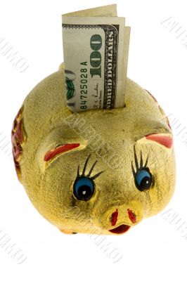 Golden piggy bank with 100 dollar