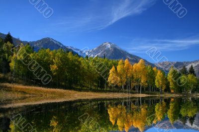 Fall Reflections