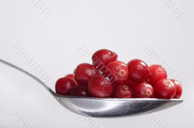the full spoon of cranberry