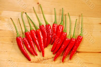Row of red chili peppers