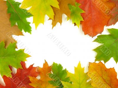 autumn very close autumn very close