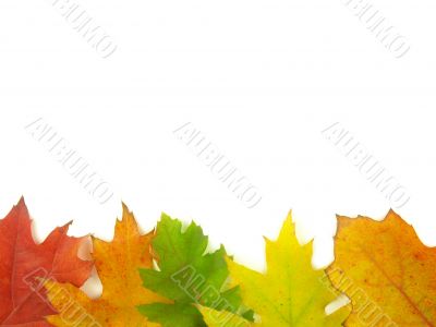 autumn very close autumn very close