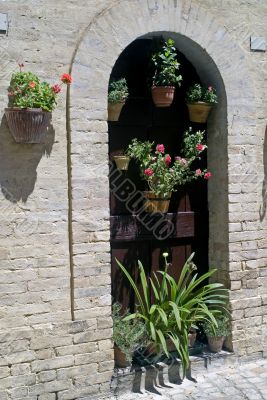 Monterubbiano - Old house with plants Monterubbiano - Old house with plants