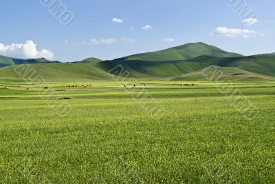 Piana di Castelluccio - Landscape