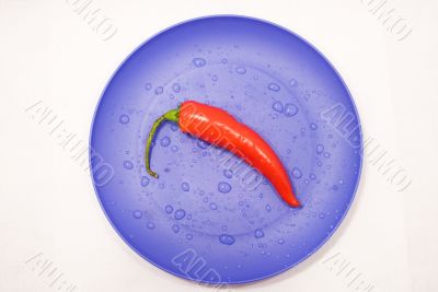 Pepper chile on violet plate with droplet of water