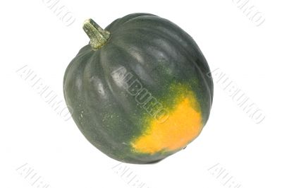 Acron Squash