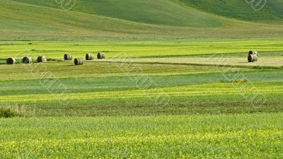 Landscape of Piana di Castelluccio