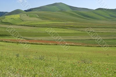 Piana di Castelluccio - Landscape Piana di Castelluccio - Landscape