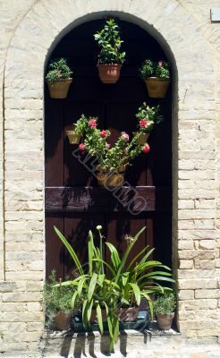 Monterubbiano - House door with potted plants and flowers