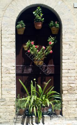 Monterubbiano - House door with potted plants and flowers Monterubbiano - House door with potted plants and flowers