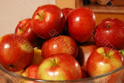 Apples