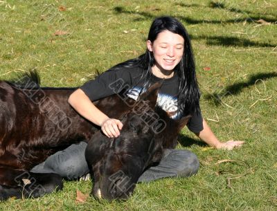 horse laid down and teen