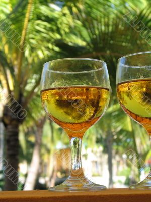 beer glasses close up in a tropical layout