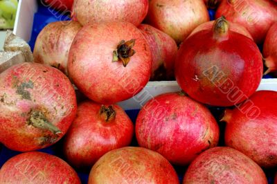 Pomegranates