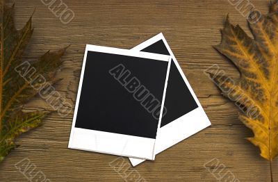 Polaroid frames over autumn background Polaroid frames over autumn background