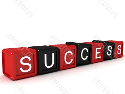 three dimensional success text on building blocks