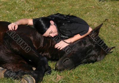horse laid down and teen