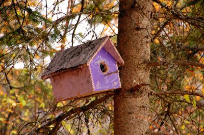 Purple wooden birdhouse