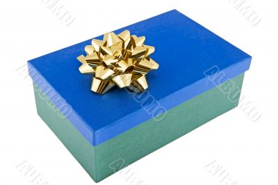 Christmas package adorned with bow