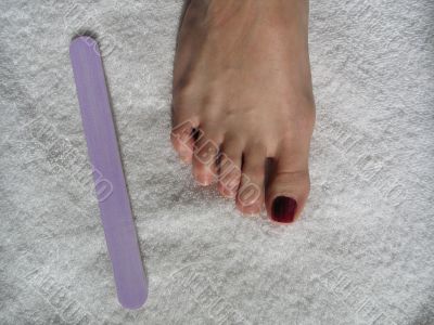 female foot during a pedicure set up female foot during a pedicure set up
