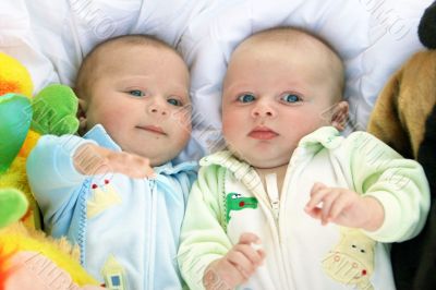 Two baby boys twin brothers