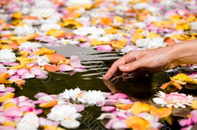 Woman touching flower petals